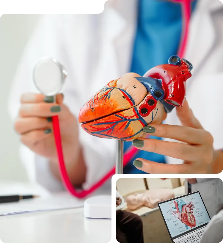 Cloud-Based EHR for Cardiologists